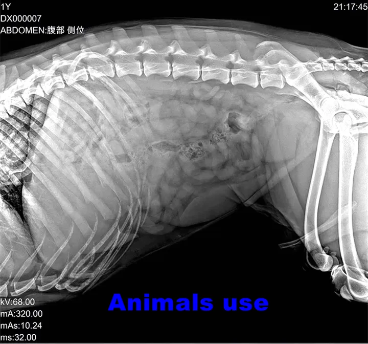 14x17 Inch High Resolution Veterinary Medical. جهاز تصوير بالأشعة السينية لاسلكي عالي الدقة 14 × 17 بوصة