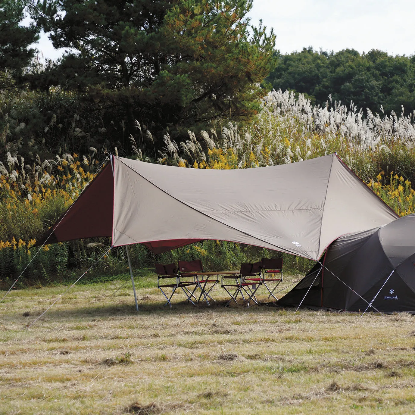 HD Tarp Shield Hexa Evo Pro.