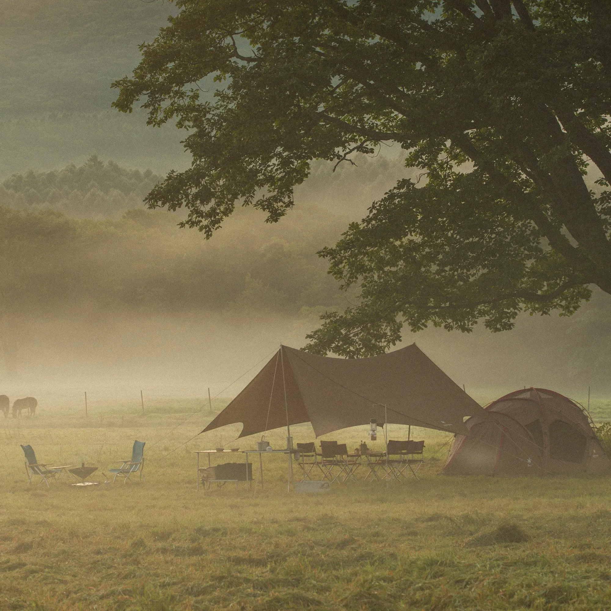 HD Tarp Shield Hexa Evo Pro.