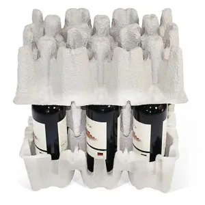 Six (6) Bottle Stand Up Pulp Wine Shipper Kit (Trays & Outer Shipping Box)