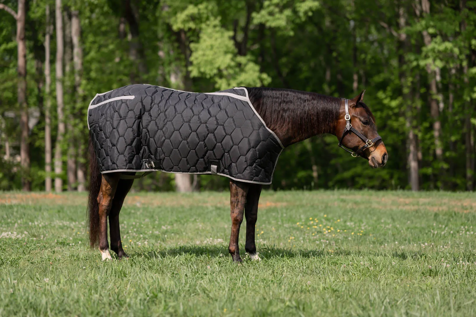 TuffRider Shelter Closed Front Heavyweight Stable Blanket